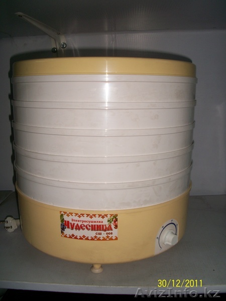 Сушилка электрическая для пищевых продуктов - Изображение #1, Объявление #522706