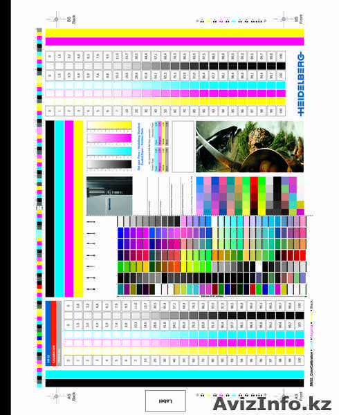  ТОО "ИЗДАТЕЛЬСКИЙ ДОМ "ОНИКС" - Изображение #1, Объявление #66292