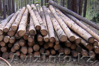 пиломатериал, стойка рудничная, шпалы - Изображение #1, Объявление #615087