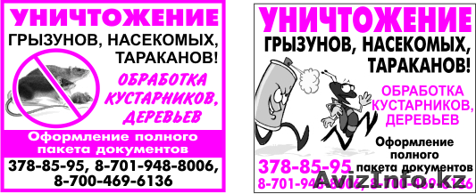 ИП УНИЧТОЖАЕМ МУХ ГРЫЗУНОВ ТАРАКАНОВ - Изображение #1, Объявление #631597
