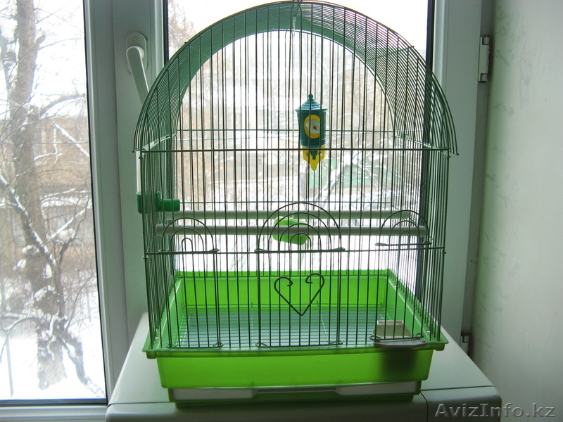 попугай волнистый клетка - Изображение #1, Объявление #624084