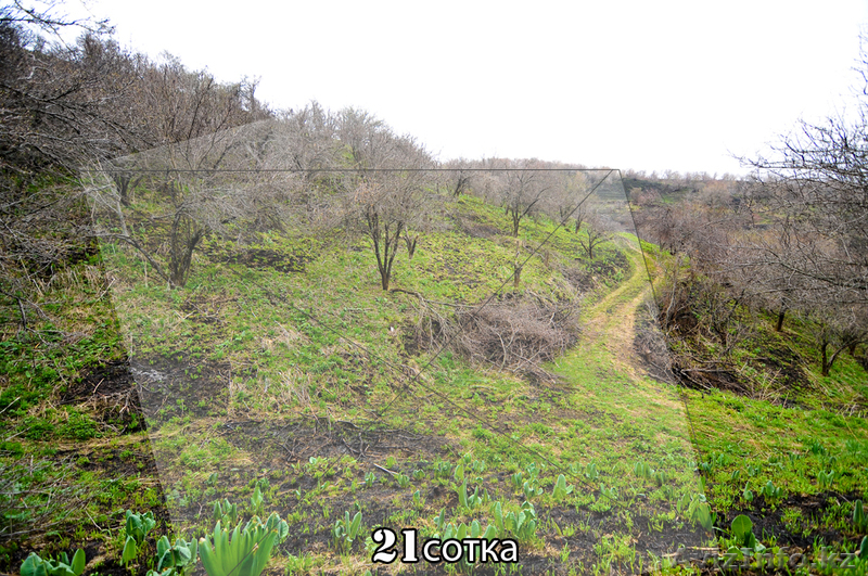 Продам или поменяю зем. участок 21 сотка.Цена:10.000$ за весь участок - Изображение #1, Объявление #629274