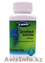 Целебные капсулы "Тяньши" (Икан) - Изображение #1, Объявление #615412