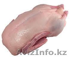 мясо гуся, гусятина, гуси оптом и в розницу Алматы - Изображение #1, Объявление #636511