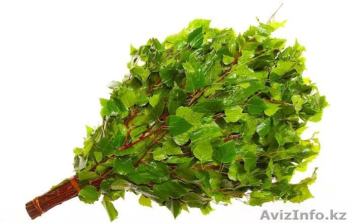 Продажа берёзовых веников - Изображение #1, Объявление #673238