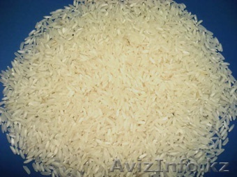 Рис   из   Ростова - Изображение #1, Объявление #700428