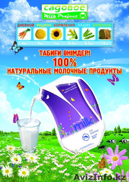 Молочные продукты - Изображение #1, Объявление #686852