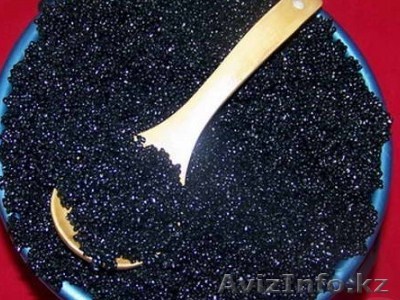 Продам черную икру (Осетровую) и живую/охлажденную рыбу - Изображение #1, Объявление #708719