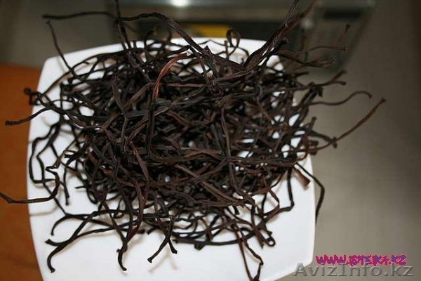 Продам сухой папоротник - Изображение #1, Объявление #741966