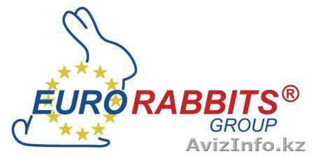 Предлагаем готовый бизнес!!! - Изображение #1, Объявление #738162