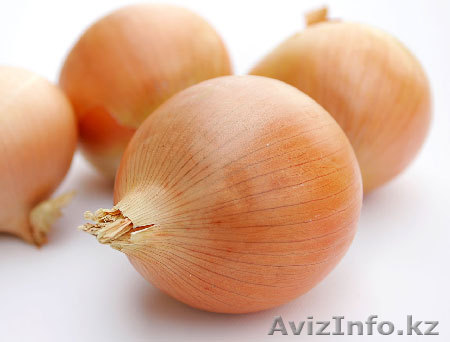 лук свежий 2012 года - Изображение #1, Объявление #748654