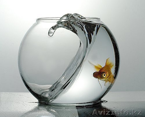 Продам долю в действующем бизнесе - Изображение #1, Объявление #740956