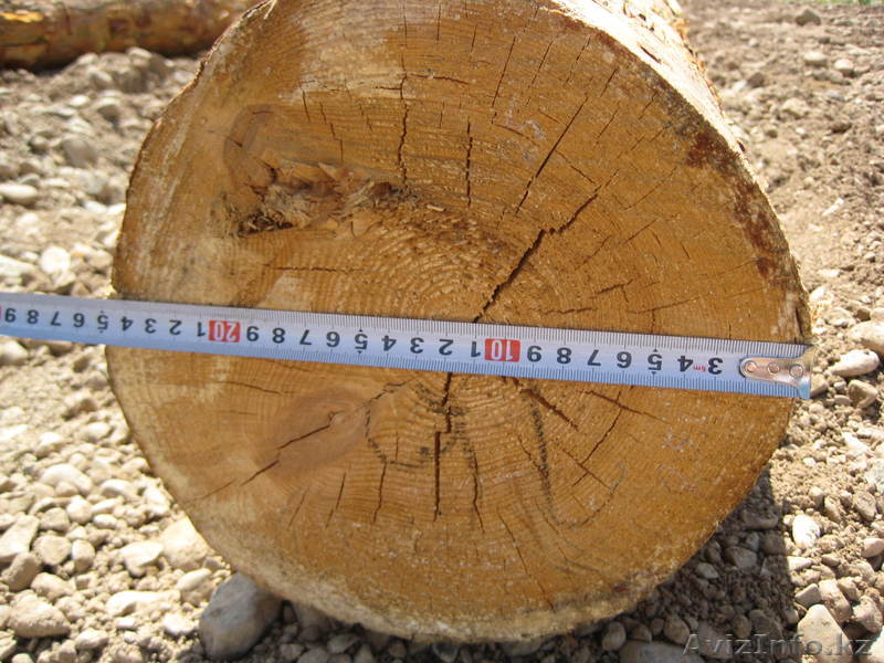 Деревянные ящики под заказ - Изображение #1, Объявление #750469