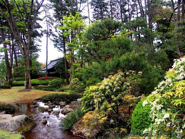 Продам гречку пр-о  РК, ВКО, Семей - Изображение #1, Объявление #769321