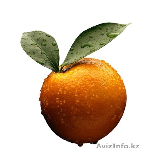 цытрусовые из испании - Изображение #1, Объявление #779074