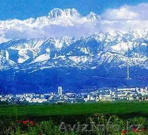 Требуются эксперты по недвижимости, риэлторы - Изображение #1, Объявление #792274