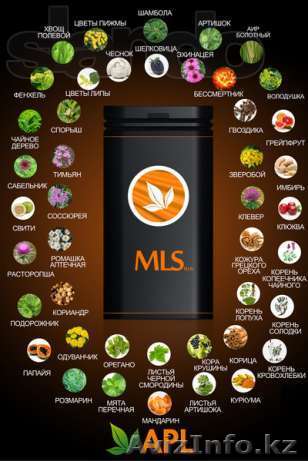 MLS - УЗНАЙ ВКУС СВОБОДЫ И НЕЗАВИСИМОСТИ - Изображение #1, Объявление #796834