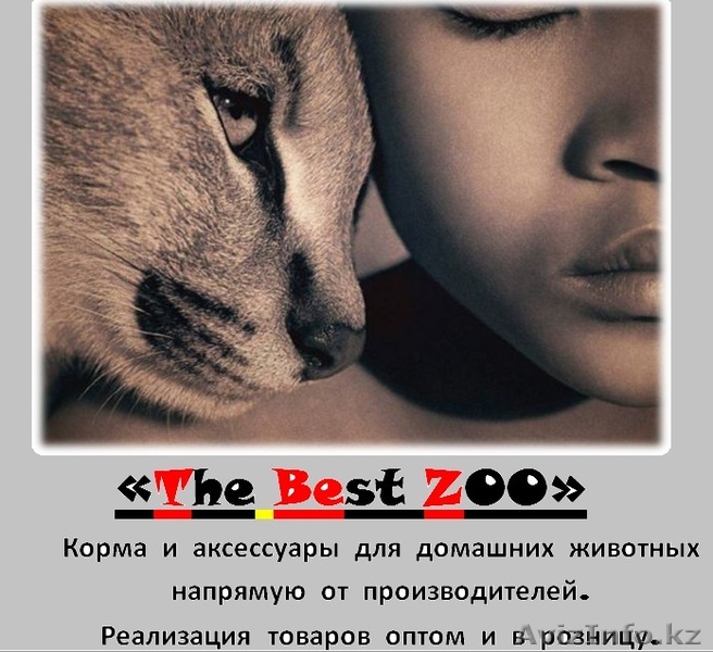 новый зоомагазин в Алмате ZOOMARKET - Изображение #1, Объявление #797821