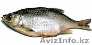 Продам вяленную и копченую рыбу собственного производства - Изображение #1, Объявление #792961
