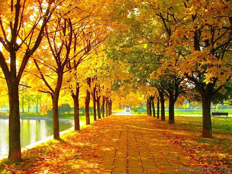 Весь спектр бухгалтерских услуг!!!!!! - Изображение #1, Объявление #804335