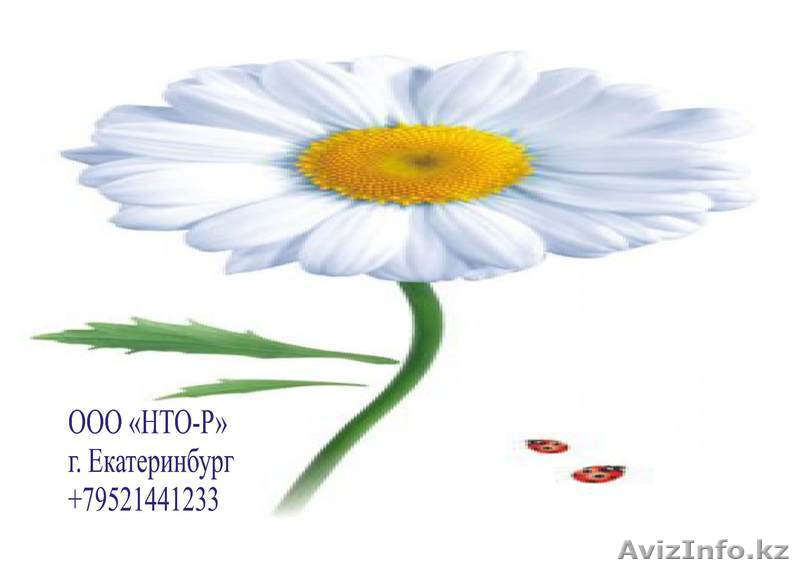 Фосфорная кислота (H3PO4) Ортфосфорная кислоты 72,5% - Изображение #1, Объявление #801905