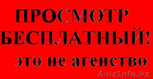 просмотр бесплатный,сдам склад 331 кв,центр - Изображение #1, Объявление #802070
