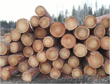 Пмломатериалы продажа досок, брусков, и т.д. - Изображение #1, Объявление #837952