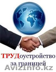 Работа в Польше  - Изображение #1, Объявление #865052