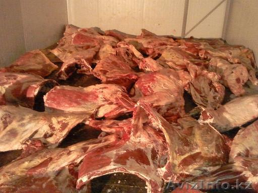 Качественная  недорогая говядина из Украины - Изображение #1, Объявление #893007