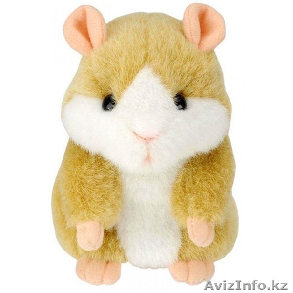Говорящий хомяк повторюшка - Изображение #1, Объявление #884588
