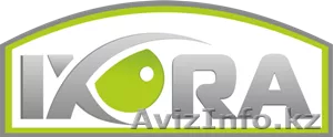 ТОО "IXORA" (ТОО "ИКСОРА)  - Изображение #1, Объявление #771499