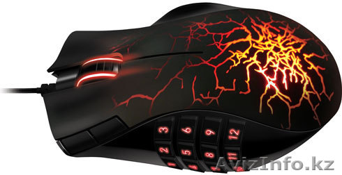 Мышки, мышки в Алматы - Изображение #1, Объявление #879449