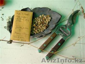 Услуги Садовника - Изображение #1, Объявление #904028