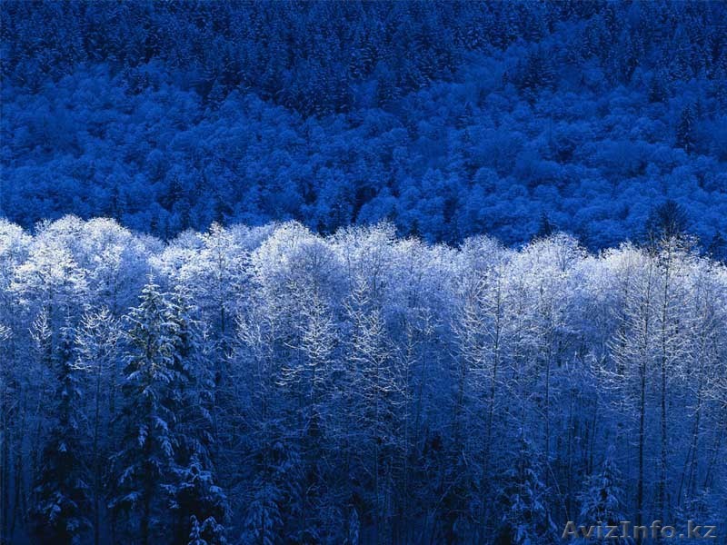 Куанышбай Казакбаевич - Изображение #1, Объявление #906758