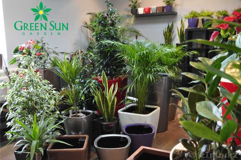 В компанию "GreenSunGarden" требуется менеджер по продажам и работе с клиентами - Изображение #1, Объявление #910422