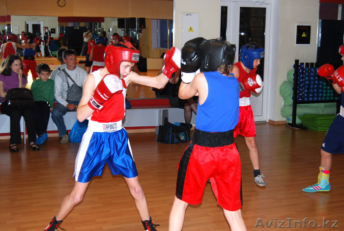 клуб бокса BARRACUDA - Изображение #1, Объявление #923985