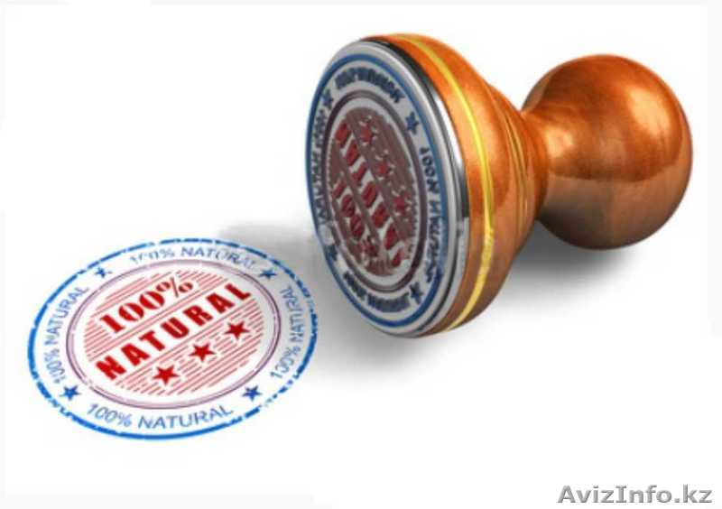 ул. Наурызбай Батыра 26 оф.1 тел. 2796868, 2790839, sswserega@rambler.ru - Изображение #1, Объявление #930416