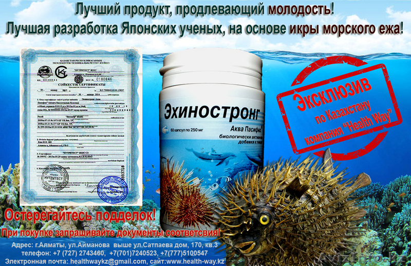 Эхиностронг Бад из икры морского ежа и ламинарии  - Изображение #1, Объявление #954870