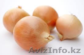 Продам репчатый лук оптом тоннами хорошего качества. Продам репчатый лук оптом т - Изображение #1, Объявление #953685