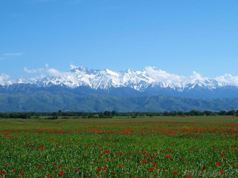 Земельное угодье - Изображение #1, Объявление #984632