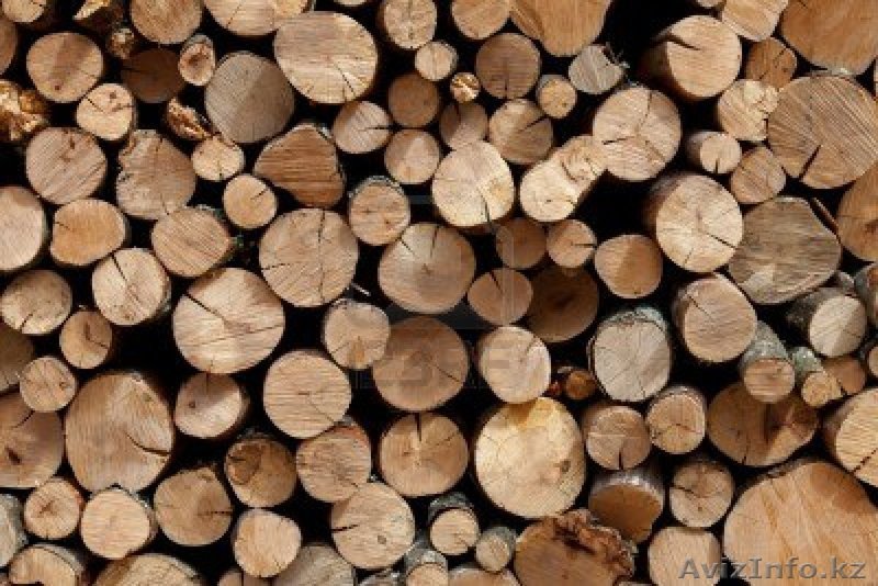  Продажа леса!  - Изображение #1, Объявление #970315