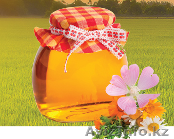 Мёд оптом и в розницу от производителя по Казахстану, фасованный и весовой - Изображение #1, Объявление #968651