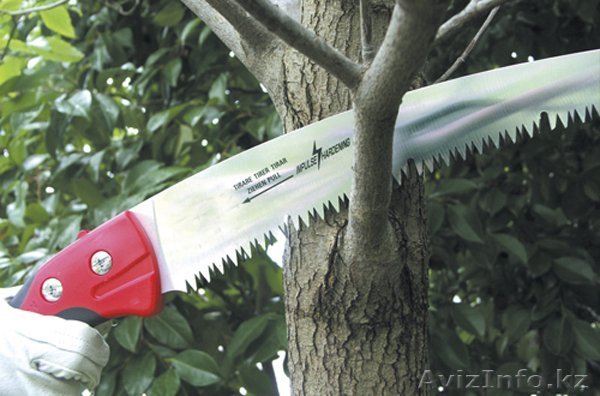 Обрезка плодовых деревьев. - Изображение #1, Объявление #973681