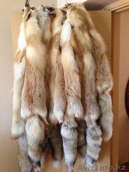 Мех Лисы степная очень хорошая - Изображение #1, Объявление #999561
