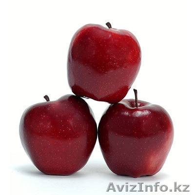 Яблоки продам недорого - Изображение #1, Объявление #997770