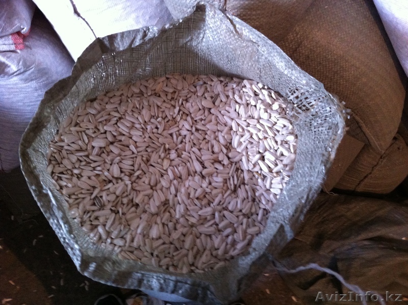 белые семечки подсолнуха, очищенные. - Изображение #1, Объявление #1005414