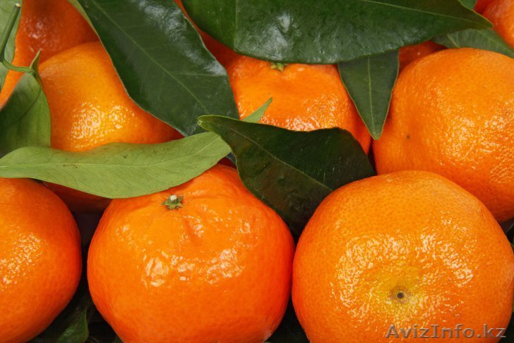 Мандарины с листочками - Изображение #1, Объявление #1009857
