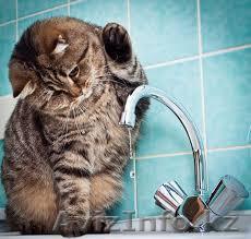 Сантехнические газо-сварочные работы - Изображение #1, Объявление #1021553