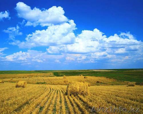 Продам крес.хоз - Изображение #1, Объявление #1033267