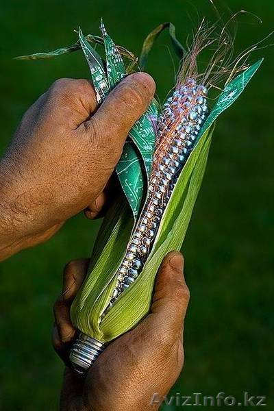 Электрик. Алмагуль,Орбита,Коктем,Казахфильм,Таугуль - Изображение #1, Объявление #1034123